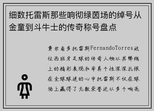 细数托雷斯那些响彻绿茵场的绰号从金童到斗牛士的传奇称号盘点 细数托雷斯那些响彻绿茵场的绰号从金童到斗牛士的传奇称号盘点